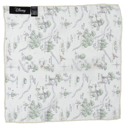 Winnie The Pooh Map Pocket Square Image 3