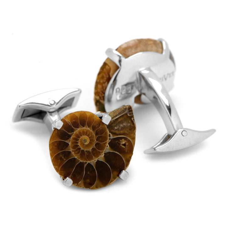 Small Madagascar Ammonite Shell Cufflinks Image 2