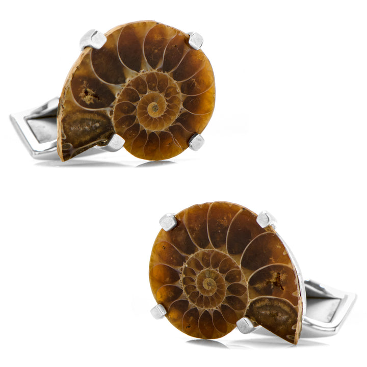 Small Madagascar Ammonite Shell Cufflinks Image 1